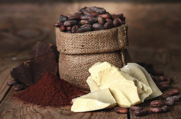 La manteca de cacao: lo más valioso del chocolate